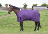 Derka padokowa 100g 600D THOR - Harry's Horse - navy/cosmos 